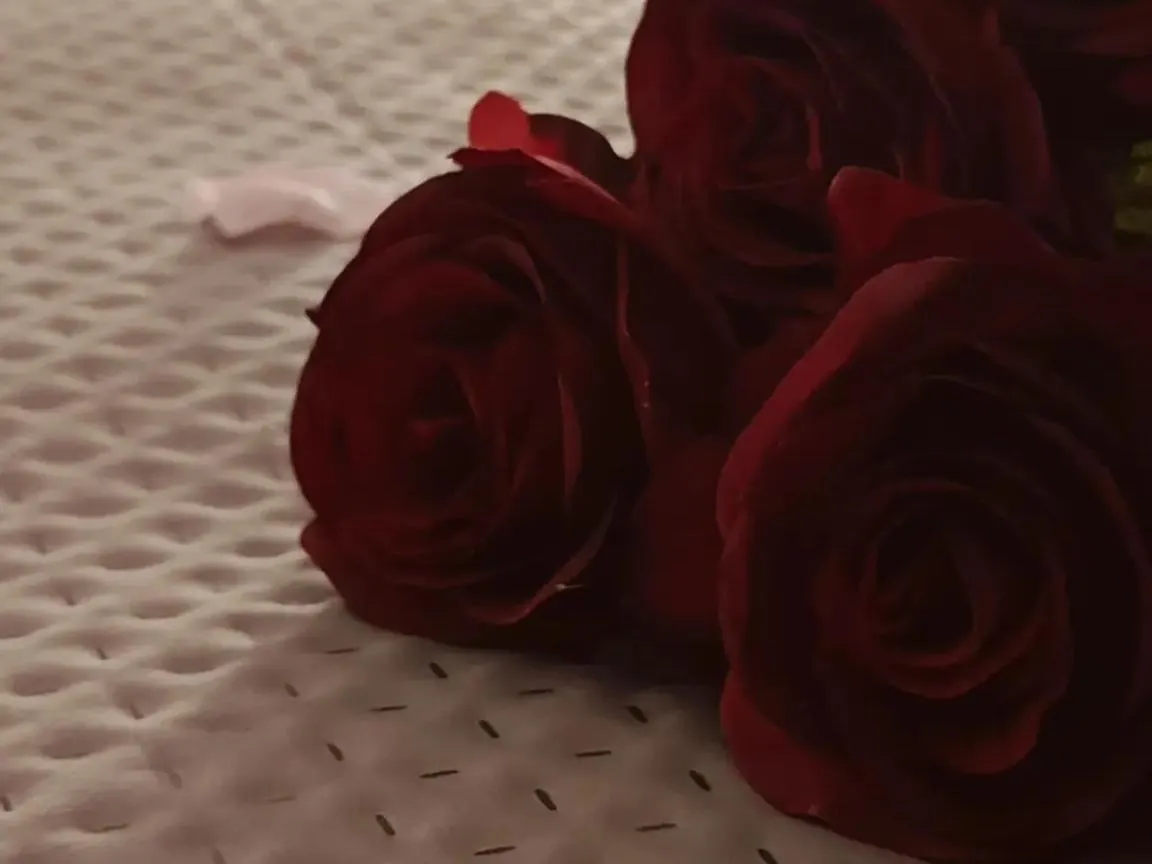 فندق مبيت وإفطار باري Villa Stefania Bed And Breakfast إيطاليا